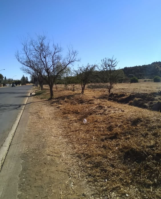 The Goods News Club Langenhoven Park